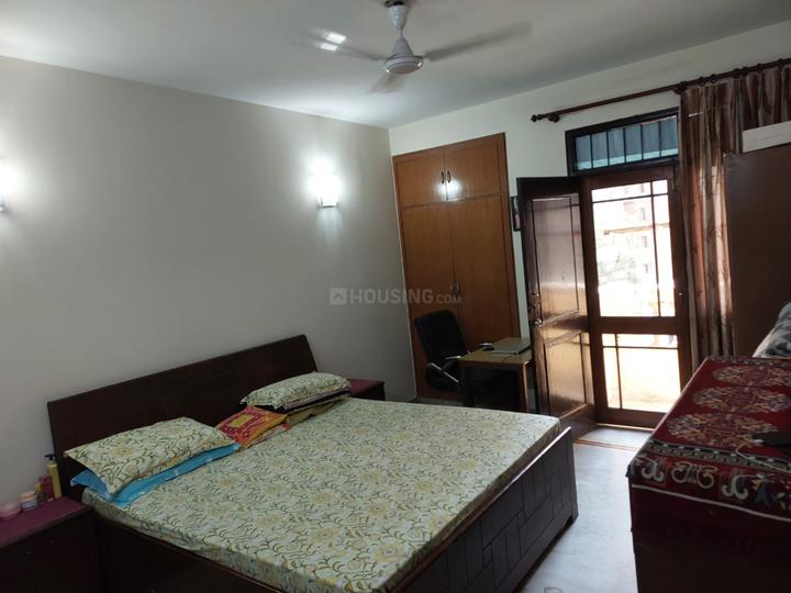 Gardenia Glory Main Image 1