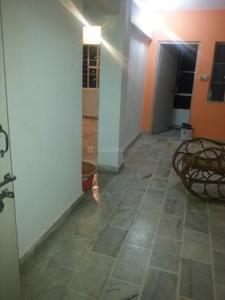Hall Image of 630 Sq.ft 1 BHK Apartment / Flat for rent in Bedla Udaipur for Rs. 8500