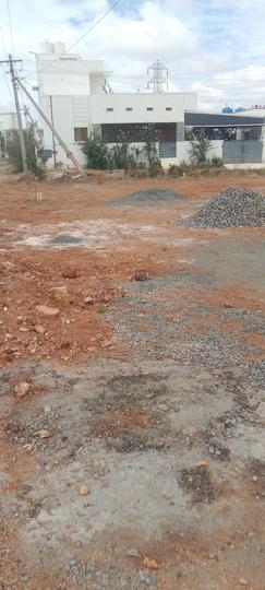 Palladam vadagapalayam EB Office back side Main Image 1