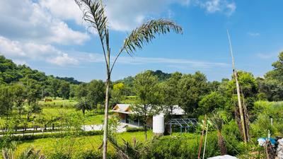 Image of 238 Sq.ft Residential Plot / Land for sale in Altus Muirwoods Ecocity Extension 1, New Chandigarh, Chandigarh for Rs. 20000000