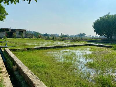 Residential Plot