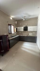 Kitchen Image of 1800 Sq.ft 2 BHK Independent House for rent in Sector 123 Mohali for Rs. 25000