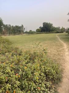 Agricultural Land
