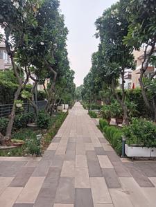 Image of 7500 Sq.ft 7 BHK Independent House for rent in Tulip Ivory Villas, Sector 70, Gurgaon for Rs. 250000