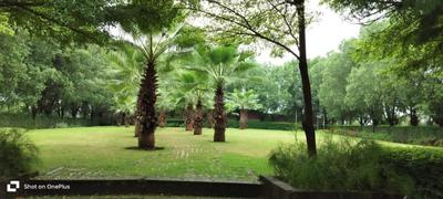 Image of 1101 Sq.ft Residential Plot / Land for sale in Datrenga, Raipur for Rs. 2000000