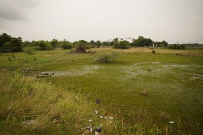 Image of 3478 Sq.ft Residential Plot / Land for sale in Kachipuram Town, Kanchipuram for Rs. 4500000