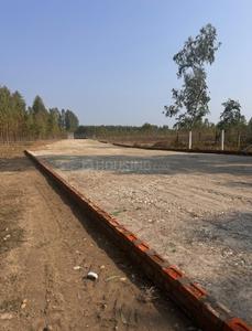 Behat Plot View 2
