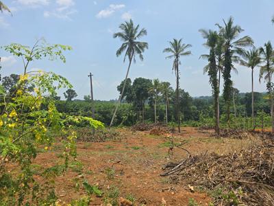 Image of 76176 Sq.ft Residential Plot / Land for sale in Kanjirappally, Kottayam for Rs. 26250000