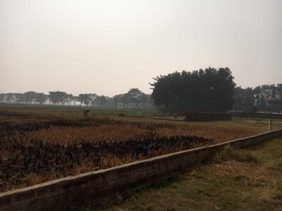 Bihta Plot View 2