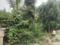 K. Chudahalli Plot View 2
