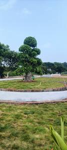 Image of 1600 Sq.ft 3 BHK Duplex for sale in Panduru, Kakinada for Rs. 8900000