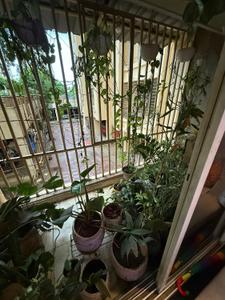 Balcony Image of 1100 Sq.ft 2 BHK Independent House for rent in Hiranandani Estate, Hiranandani Estate Thane for Rs. 34001