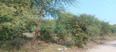 Image of 1200 Sq.ft Residential Plot / Land for sale in County Walk Township, Indore for Rs. 3850000