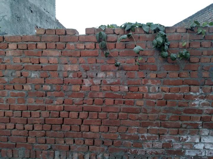 Residential 1400 Sqft Plot for sale at Jandali Village, Ambala City