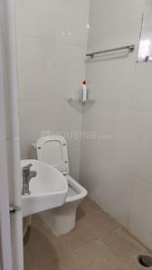 Bathroom Image of 620 Sq.ft 1 RK Apartment / Flat for rent in Gachibowli Hyderabad for Rs. 20000
