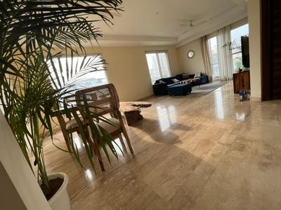 3 BHK Independent Builder Floor