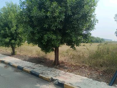 Devender Colony Plot View 1