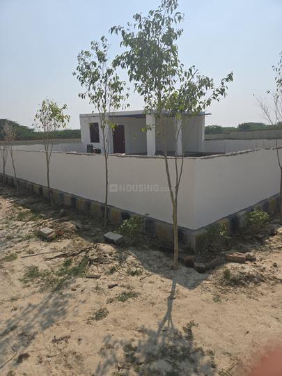 Khujauli Main Image 1