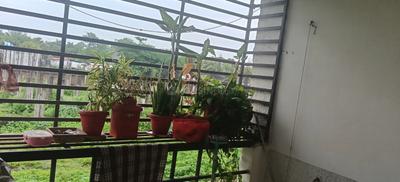 Balcony Image of 1130 Sq.ft 3 BHK Apartment / Flat for sale in Ayodhya Bypass Bhopal for Rs. 3200000