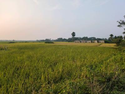Image of 720 Sq.ft Residential Plot / Land for sale in New Town, Kolkata for Rs. 1200000