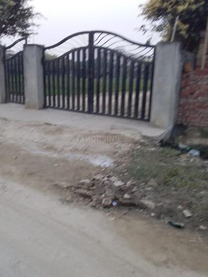 Cassia Fistula Estate Main Image 1