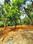 Ollukkara Main Image 1