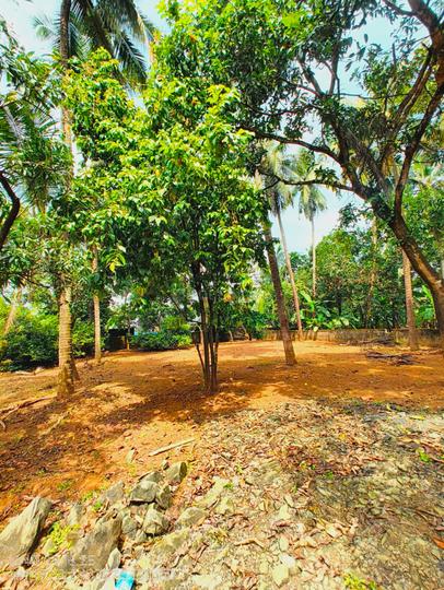Ollukkara Main Image 1