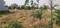 Sector 68 Mohali Main Image 1
