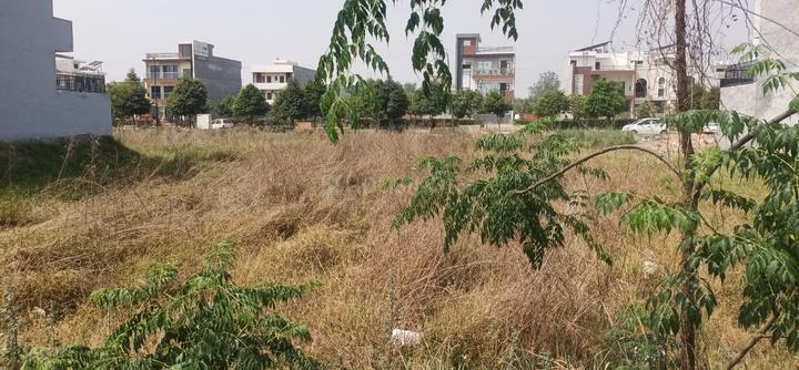 Sector 68 Mohali Main Image 1