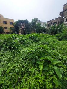 Kalikapur land Plot View 2