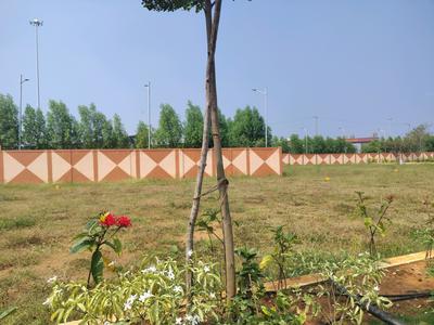 Residential Plot