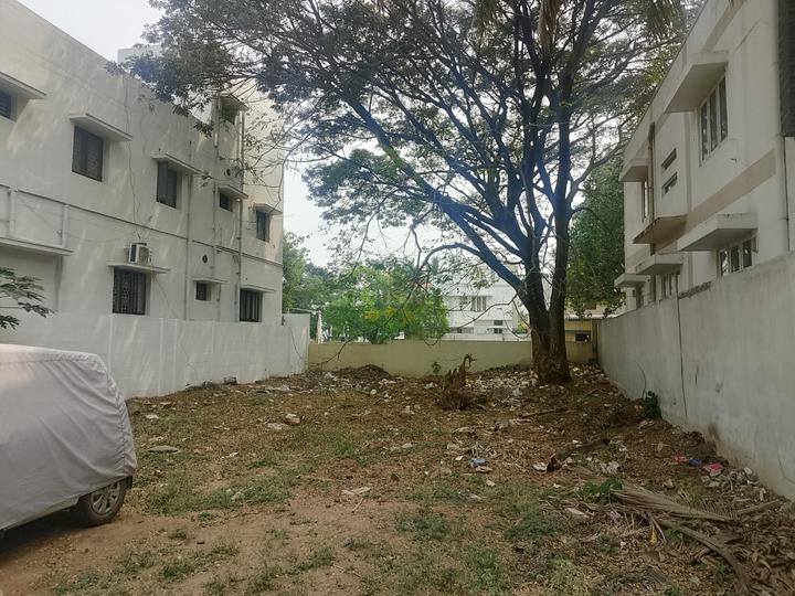 Maharani Avenue Main Image 1