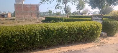Mohan lal ganj Plot View 2
