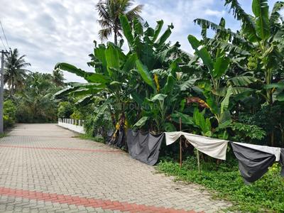 Image of 4355 Sq.ft Residential Plot / Land for sale in Thrippunithura, Kochi for Rs. 9000000