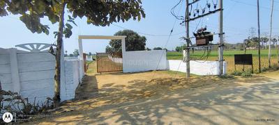 Bihta Plot View 2