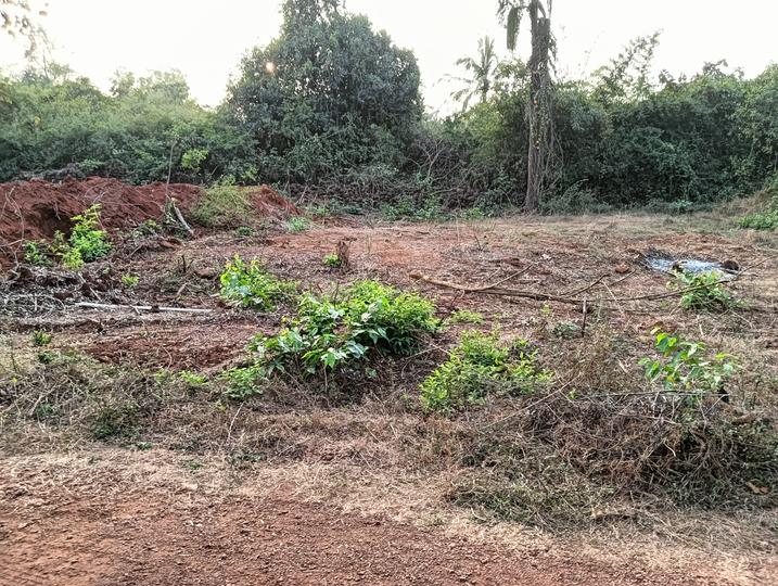 Residential 380 Sqft Plot for sale at Ponda, Goa Property ID 13576600