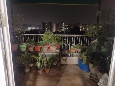 Balcony Image of 1168 Sq.ft 2 BHK Apartment / Flat for sale in Gudadhe Orbital Empire, Jaitala Nagpur for Rs. 5600000