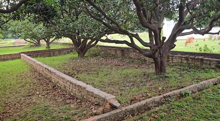 Sarojini Nagar Main Image 1