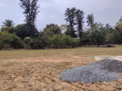 Image of 1271 Sq.ft Residential Plot / Land for sale in Asola, New Delhi for Rs. 55000000