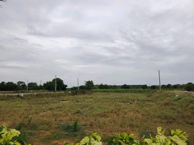 Image of 180 Sq.ft Residential Plot / Land for sale in Bhuvan Harmony Woods, Thummaloor, Hyderabad for Rs. 4500009