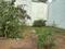 mahalaxmi nagar Plot View 2