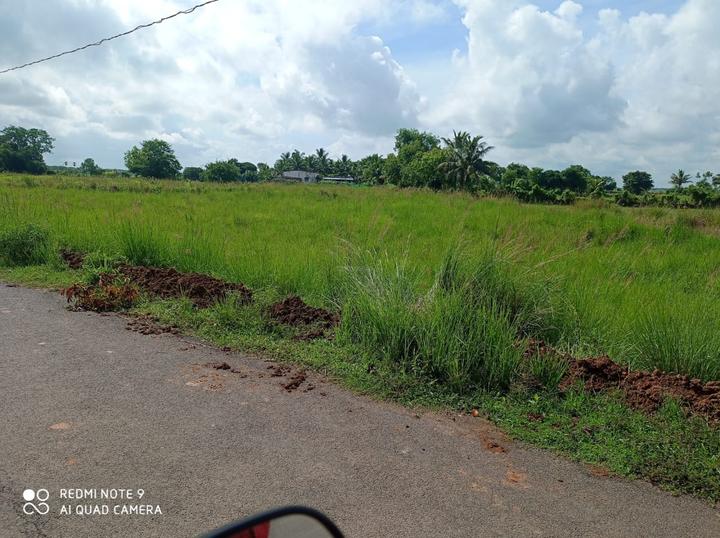 Mkd vihar Main Image 1