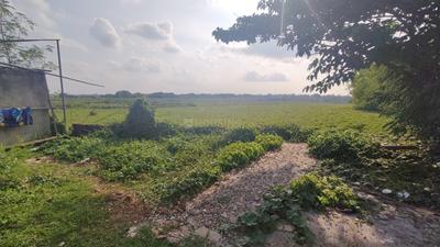 Image of 1200 Sq.ft Residential Plot / Land for sale in Pandav Nagar, Bhubaneswar for Rs. 4200000