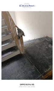 Image of 825 Sq.ft 2 BHK Apartment / Flat for sale in Garfa, Kolkata for Rs. 5800000