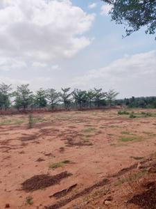 Image of 1800 Sq.ft Residential Plot / Land for sale in Yadagirigutta, Yadadri Bhuvanagiri for Rs. 1600000