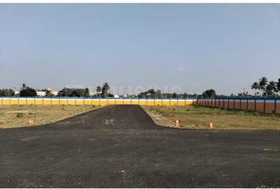 Image of 1200 Sq.ft Residential Plot / Land for sale in Panjappur, Tiruchirappalli for Rs. 1200000