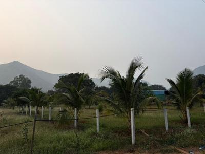 Image of 4356 Sq.ft Residential Plot / Land for sale in Nunna, Vijayawada for Rs. 1750000