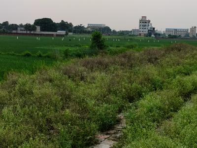 Image of 872 Sq.ft Residential Plot / Land for sale in Naubatpur, Patna for Rs. 2700000