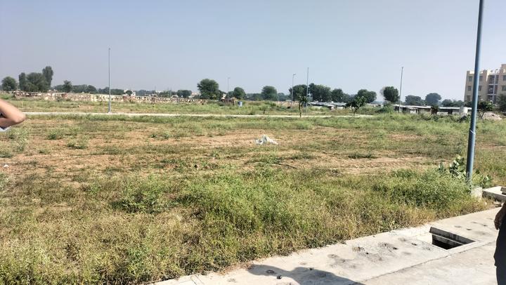 BDI Green Park Main Image 1