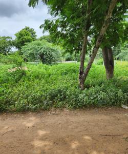 Image of 388 Sq.ft Residential Plot / Land for sale in Kudasan, Gandhinagar for Rs. 27160000